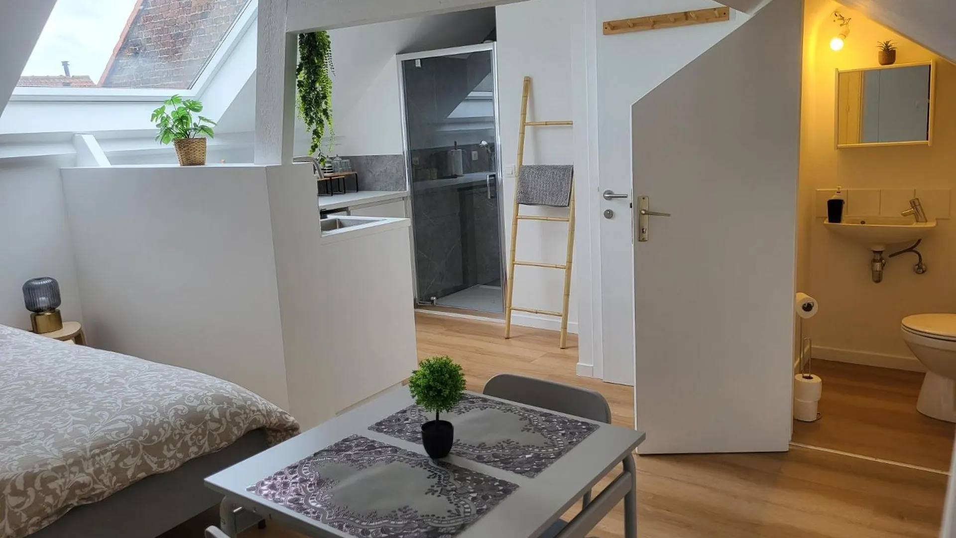 Studios Idealement Situes - Eu Brussels 0*,  Belgium